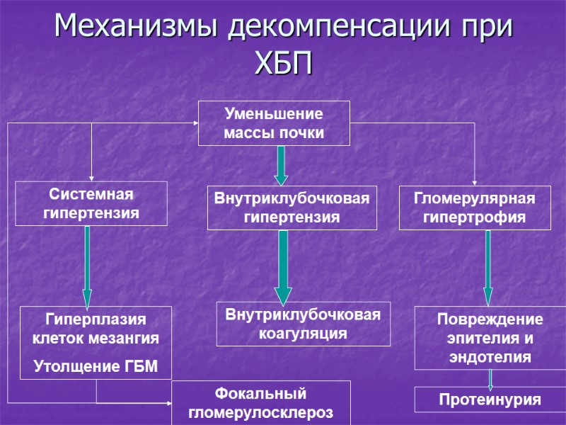 Механизмы декомпенсации при ХБП Уменьшение массы почки Внутриклубочковая гипертензия Гломерулярная гипертрофия Системная гипертензия Гиперплазия